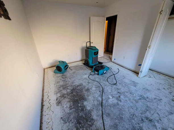 Best Commercial water damage restoration  in Wharton, TX