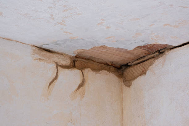  Wharton, TX Water damage restoration Pros