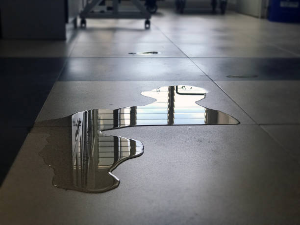 Best Water damage contractors near me  in Wharton, TX