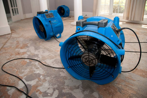 Best Carpet water damage restoration  in Wharton, TX