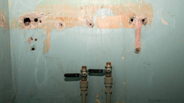 Best Basement water damage restoration  in Wharton, TX