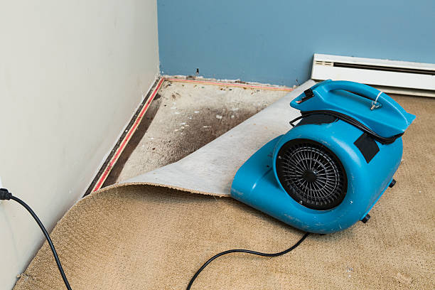 Best Commercial water damage restoration  in Wharton, TX